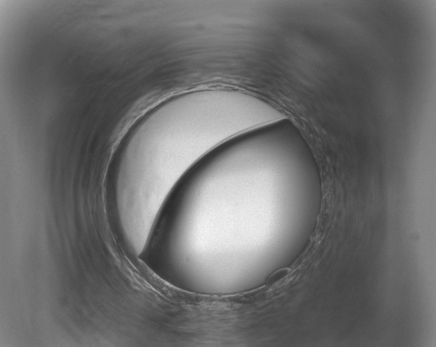 X0000081570242200701151033