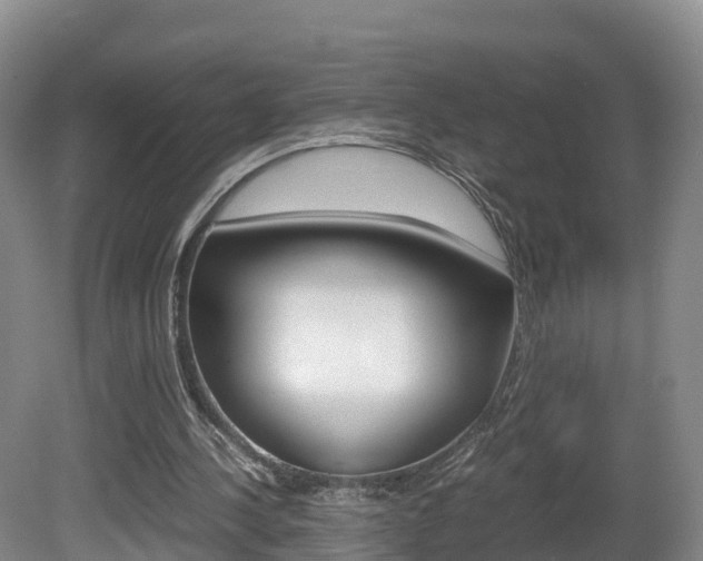 X0000081570244200701151033