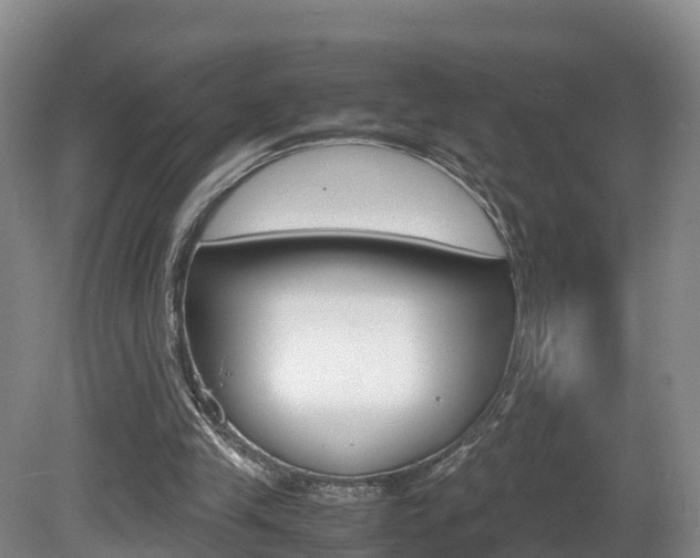 X0000081570245200701151033