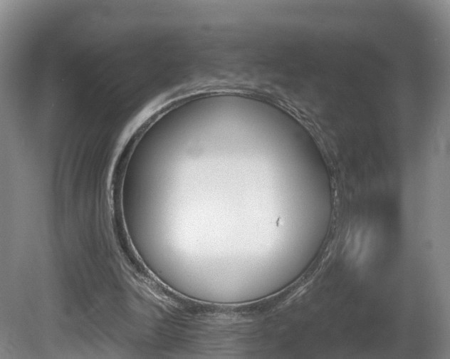 X0000081570246200701151033