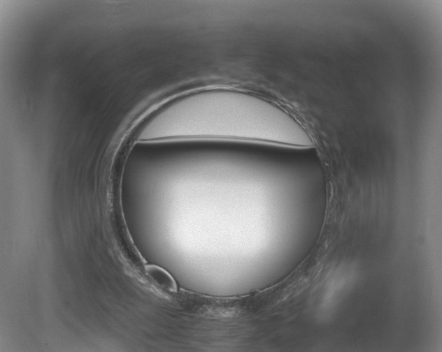 X0000081570247200701151033