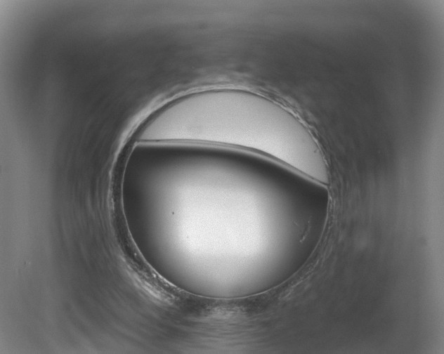 X0000081570248200701151033