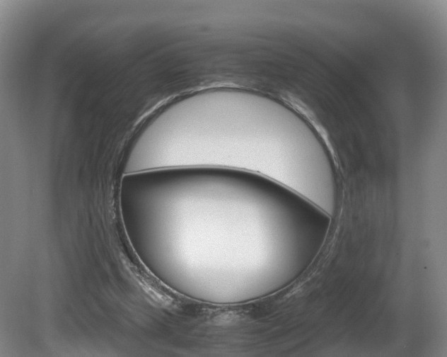 X0000081570249200701151033