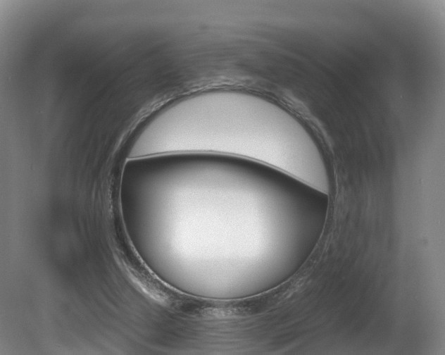 X0000081570250200701151033