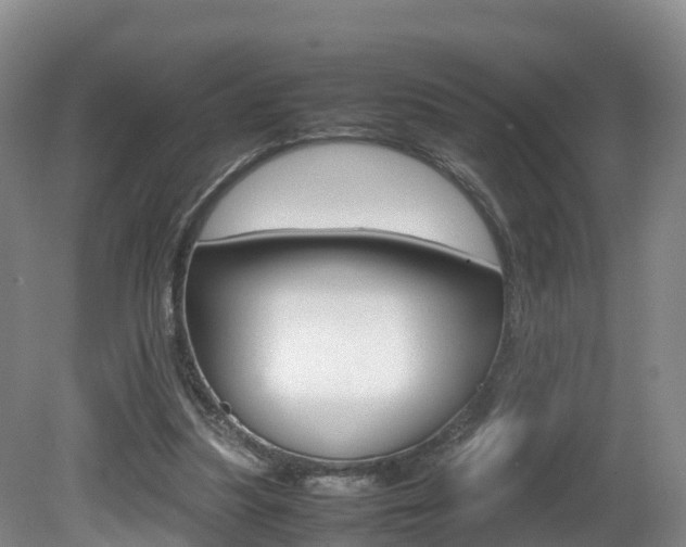 X0000081570251200701151033
