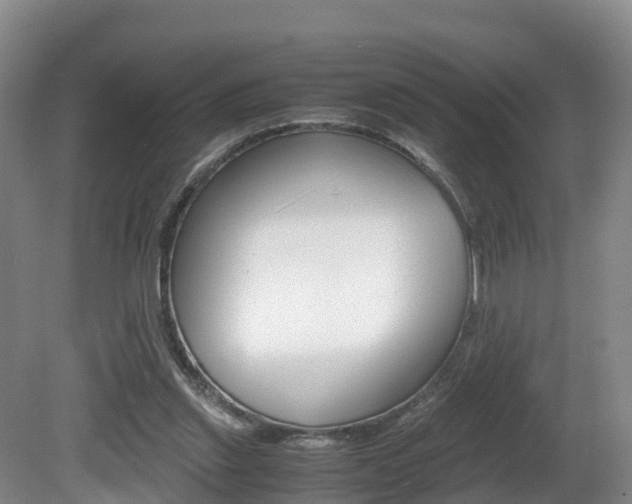 X0000081570253200701151033