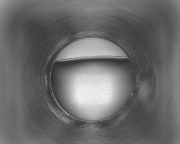 X0000081570254200701151033