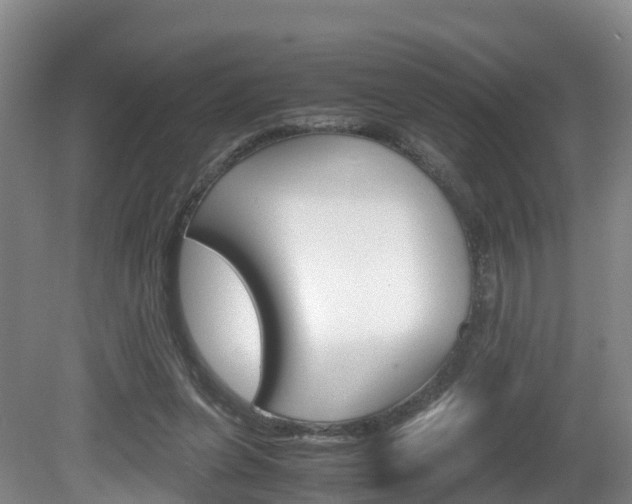 X0000081570255200701151033