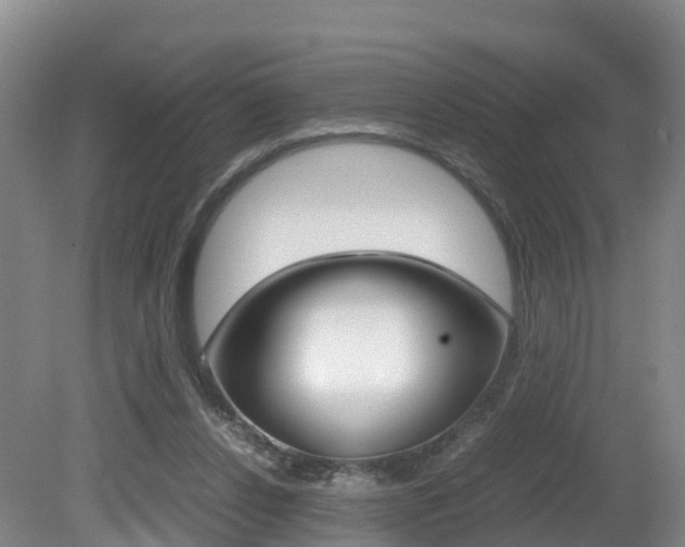 X0000081570256200701151033