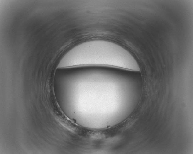 X0000081570258200701151033