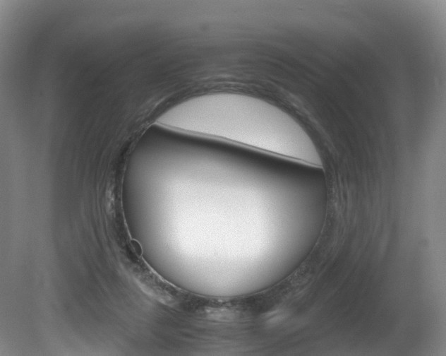 X0000081570259200701151033