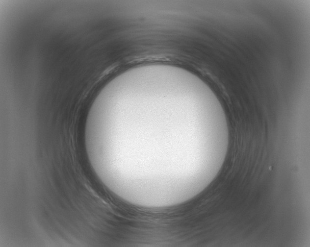X0000081570260200701151033