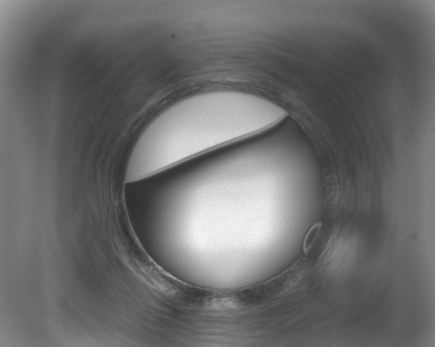 X0000081570262200701151033