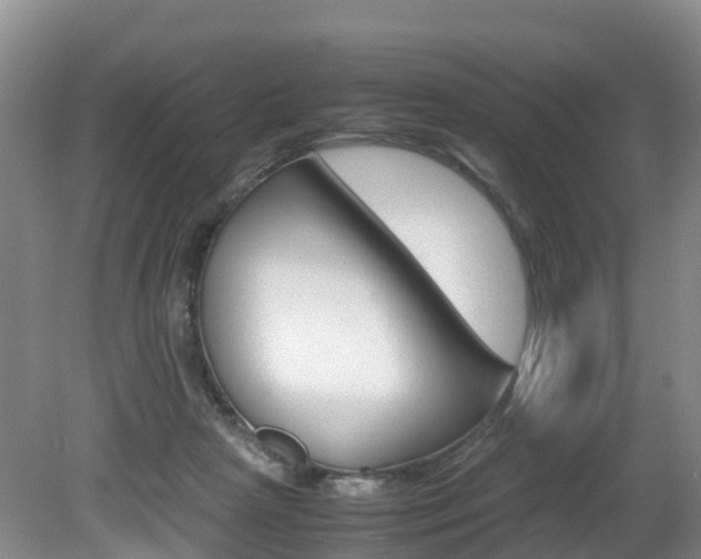 X0000081570265200701151033