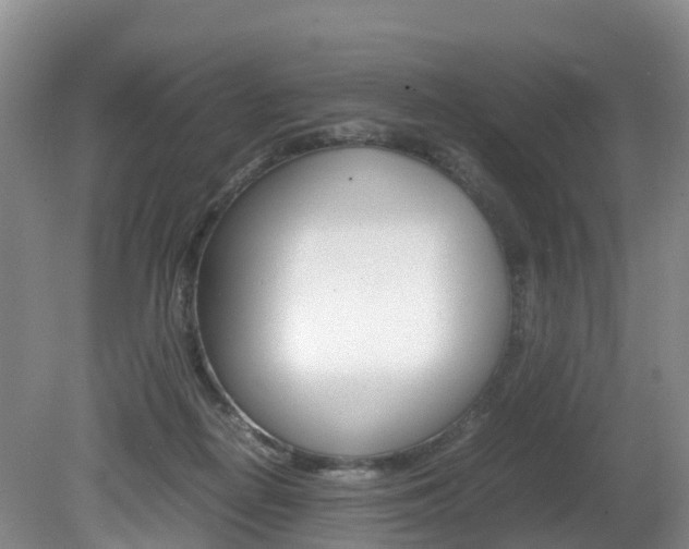 X0000081570266200701151033