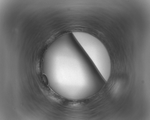 X0000081570267200701151033
