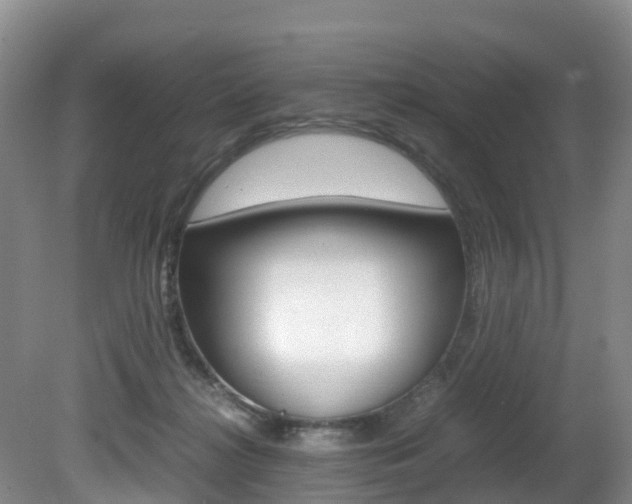 X0000081570268200701151033