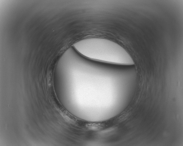 X0000081570273200701151033