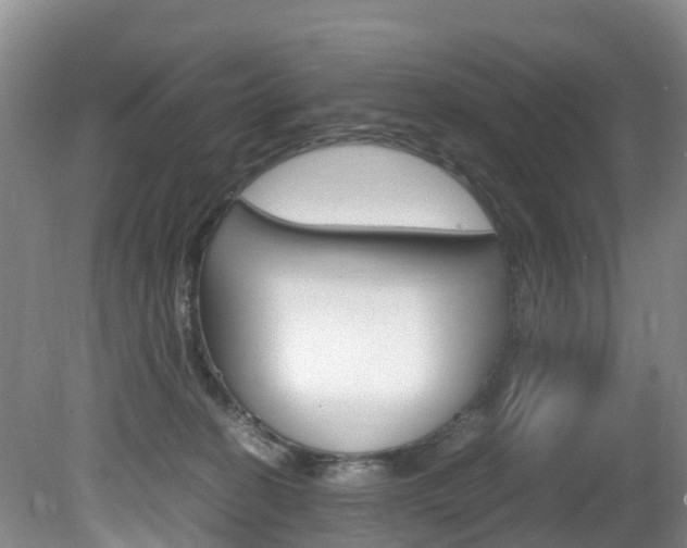X0000081570274200701151033