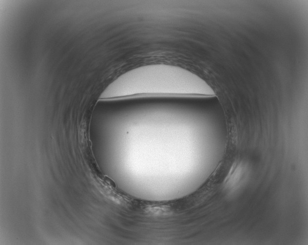 X0000081570283200701151034
