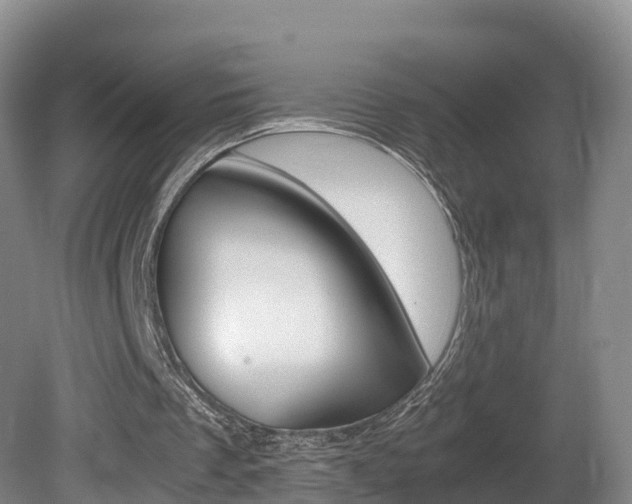 X0000081570289200701151033