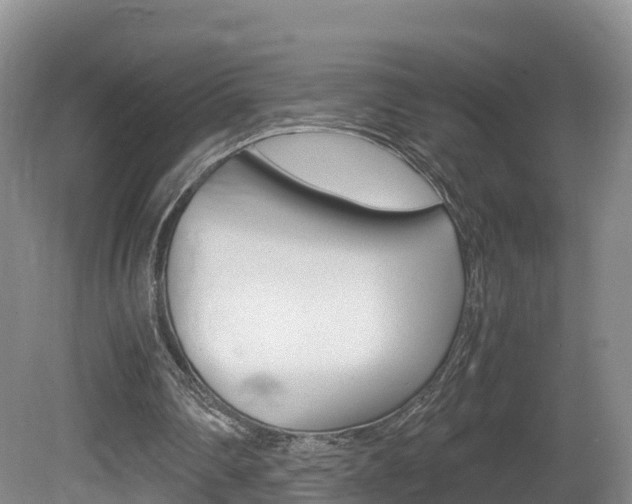 X0000081570290200701151033