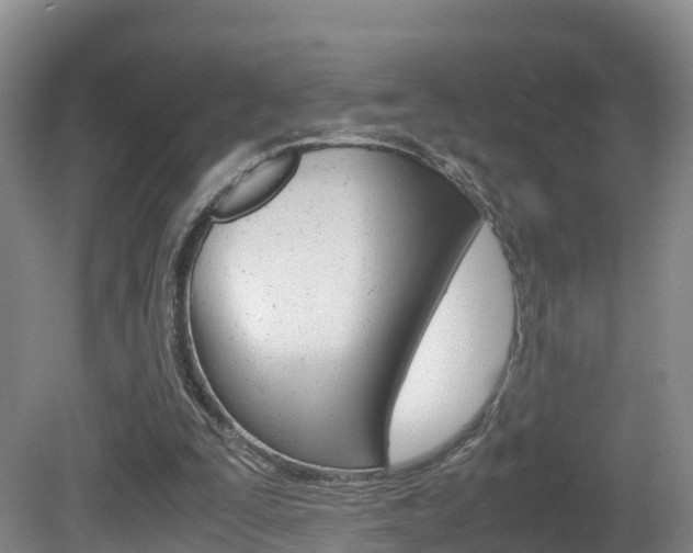 X0000081570295200701151033
