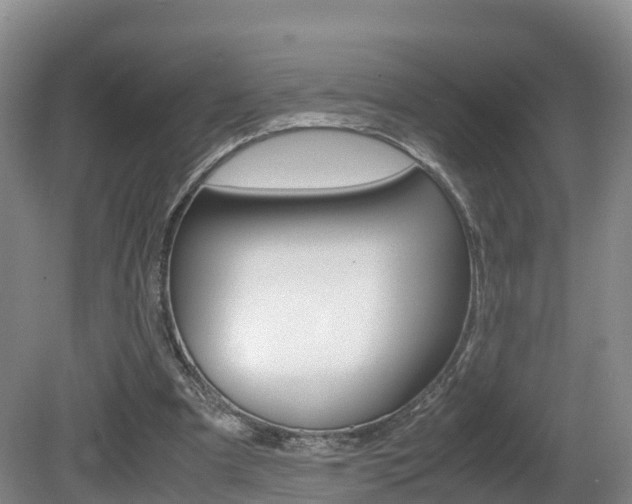 X0000081570297200701151033