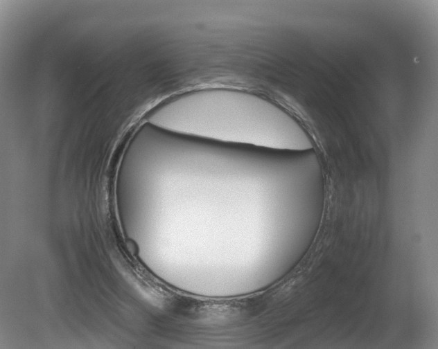 X0000081570298200701151033