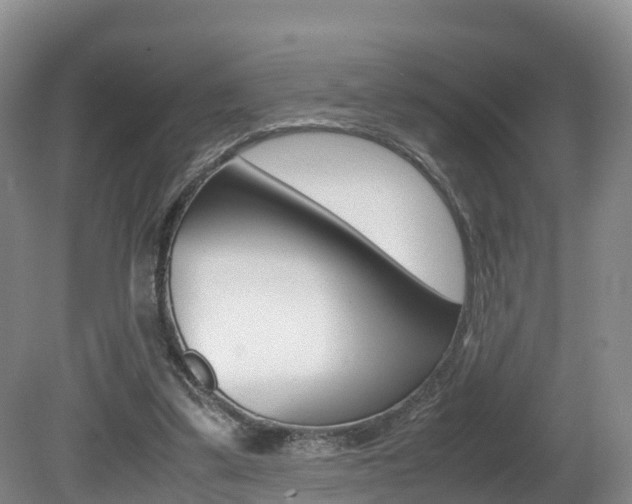 X0000081570299200701151033