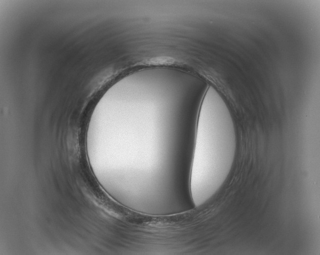 X0000081570300200701151033