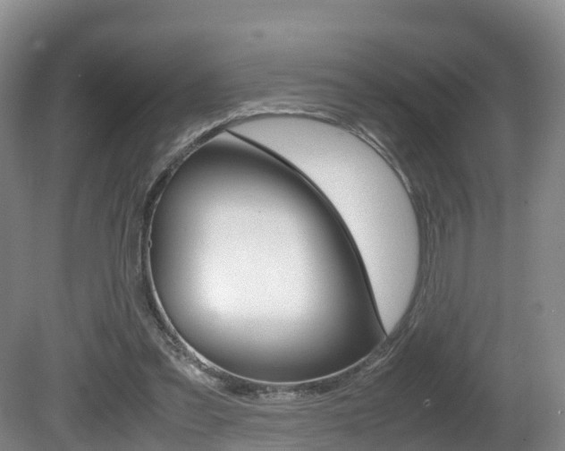 X0000081570301200701151033