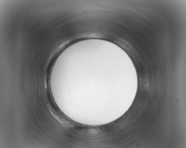 X0000081570302200701151033