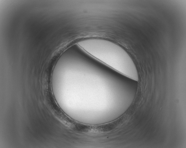 X0000081570303200701151033