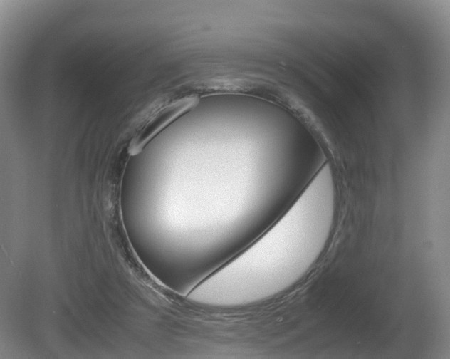 X0000081570305200701151033