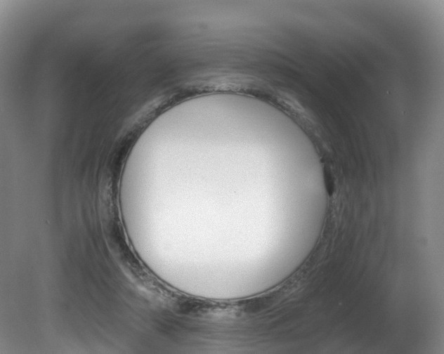 X0000081570306200701151033