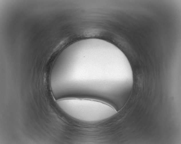X0000081570308200701151033