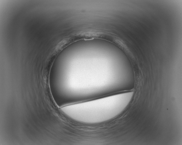 X0000081570309200701151033