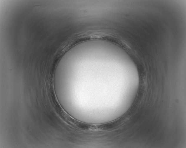 X0000081570311200701151033