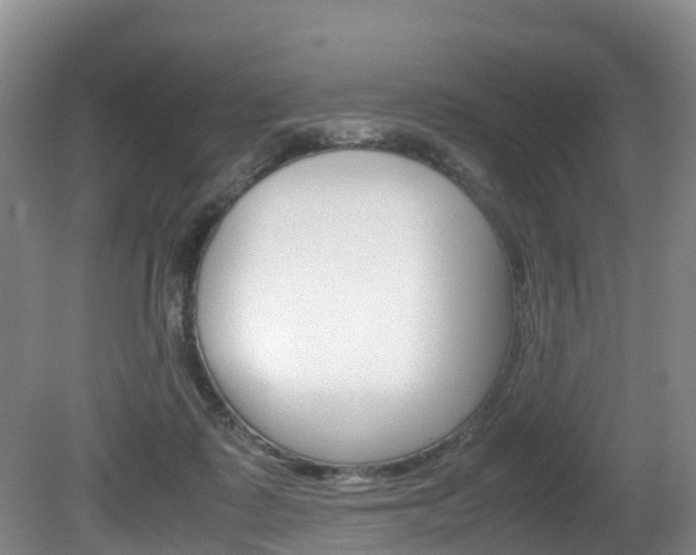 X0000081570315200701151032