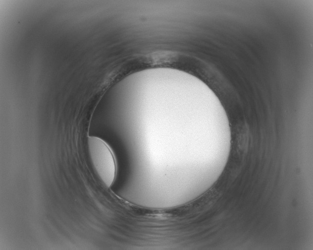 X0000081570316200701151032