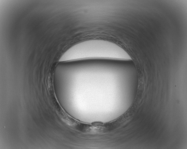X0000081570323200701151032