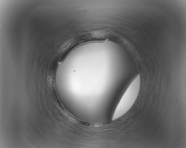 X0000081570329200701151032
