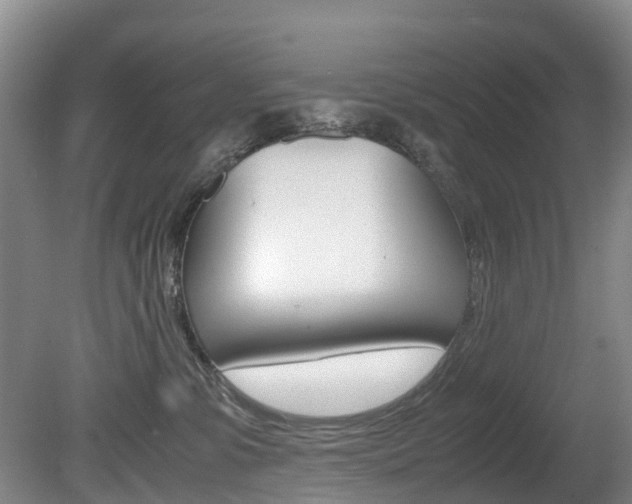 X0000081570331200701151032
