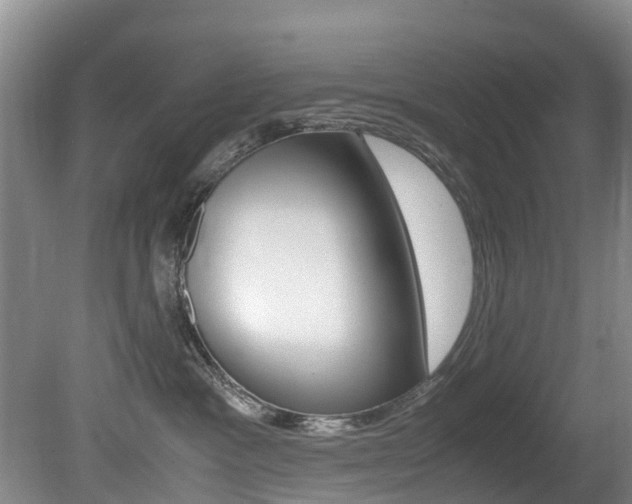X0000081570333200701151032