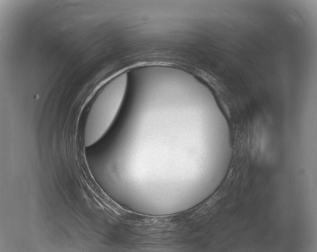 X0000081570338200701151031