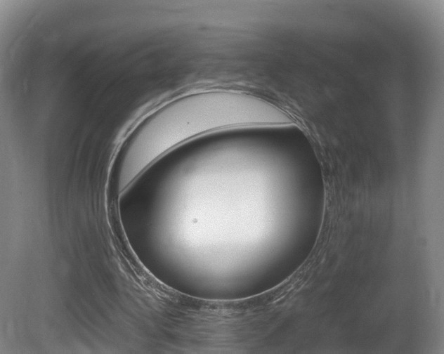 X0000081570340200701151031