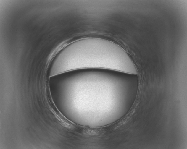 X0000081570341200701151031