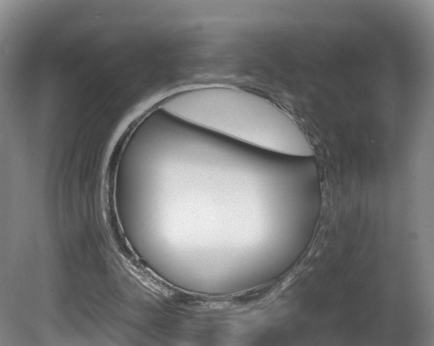 X0000081570342200701151031