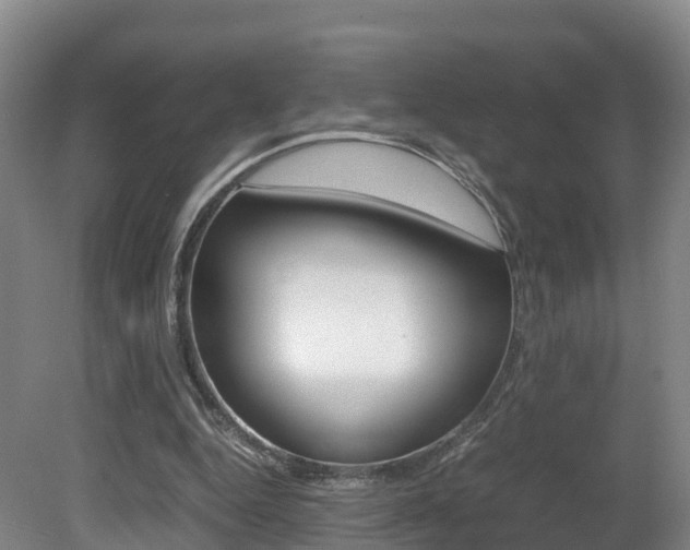 X0000081570344200701151031